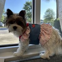 Bayside Veterinary Clinic ico