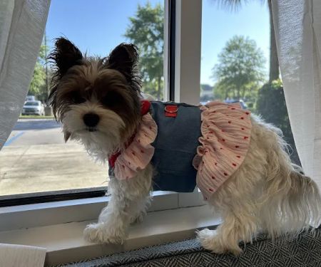 Bayside Veterinary Clinic