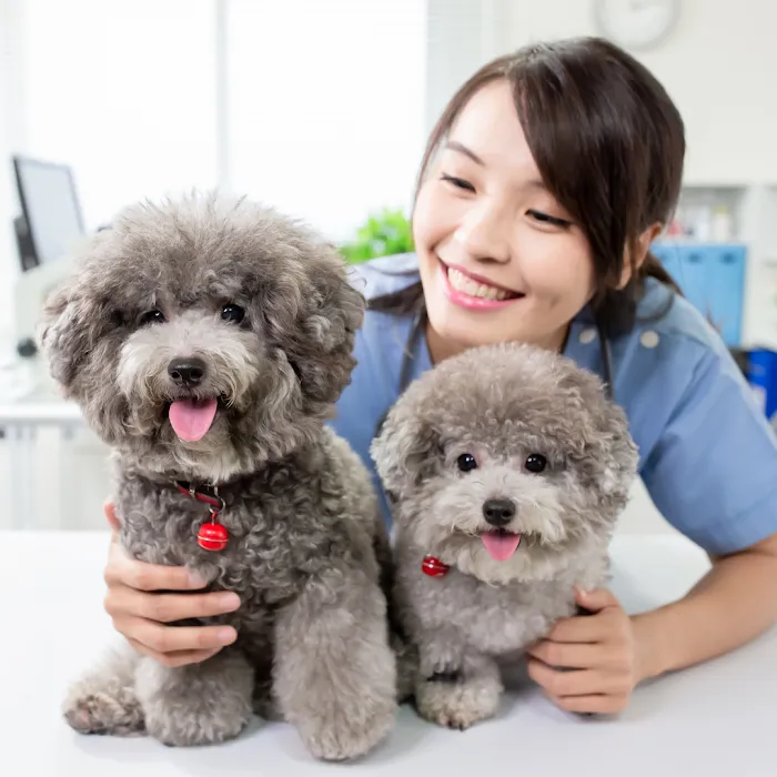 Pet Smiles Picture 10