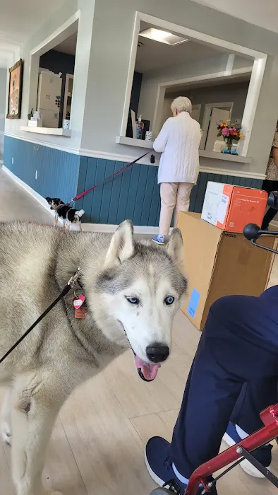 Grand Strand Animal Hospital Picture 10