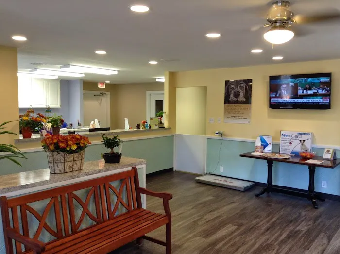 Veterinary Clinic of Myrtle Beach Picture 5