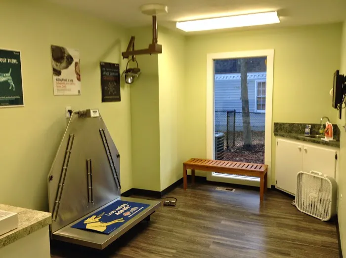 Veterinary Clinic of Myrtle Beach Picture 3