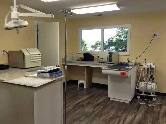 Veterinary Clinic of Myrtle Beach Picture 8