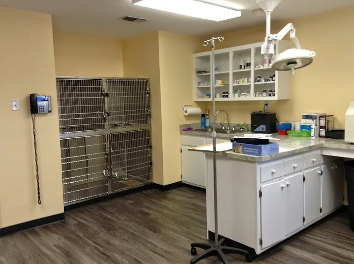 Veterinary Clinic of Myrtle Beach Picture 7