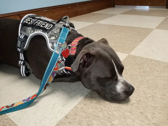 Myrtle Beach Animal Hospital Picture 1