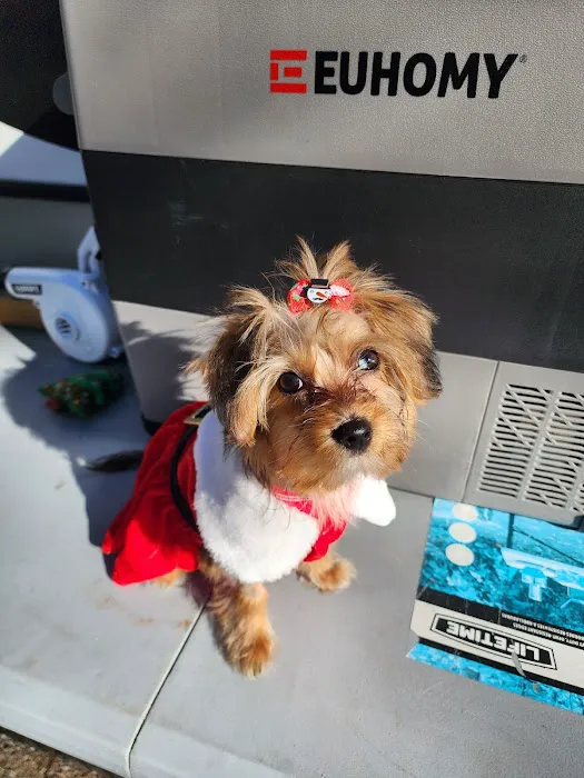 Myrtle Beach Animal Hospital Picture 7