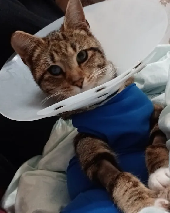 Loris Animal Hospital Picture 1
