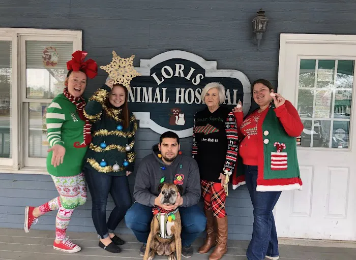 Loris Animal Hospital Picture 3