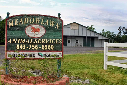Meadowlawn Animal Services-Loris Picture 5