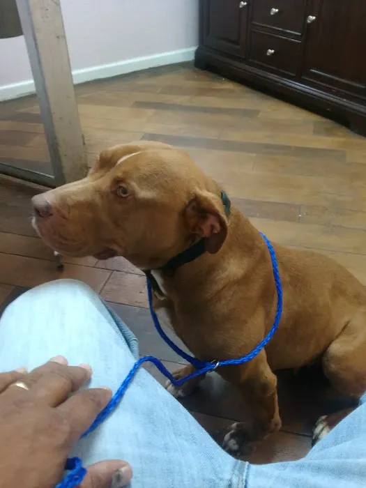 South Robeson Veterinary Clinic Picture 1