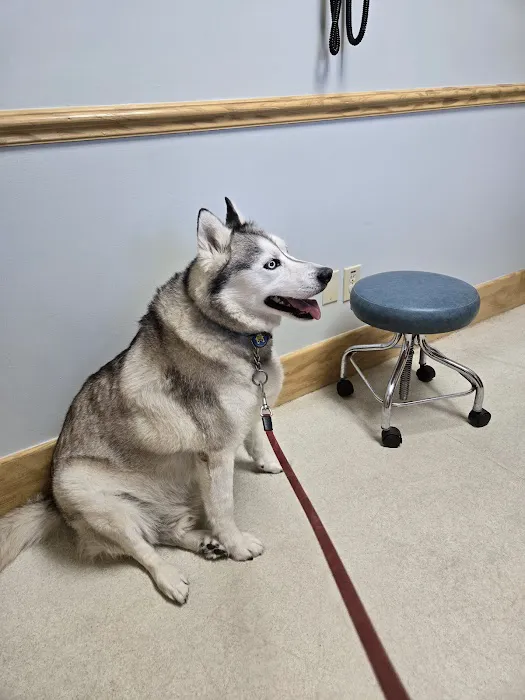 Waccamaw Regional Veterinary Center Picture 3