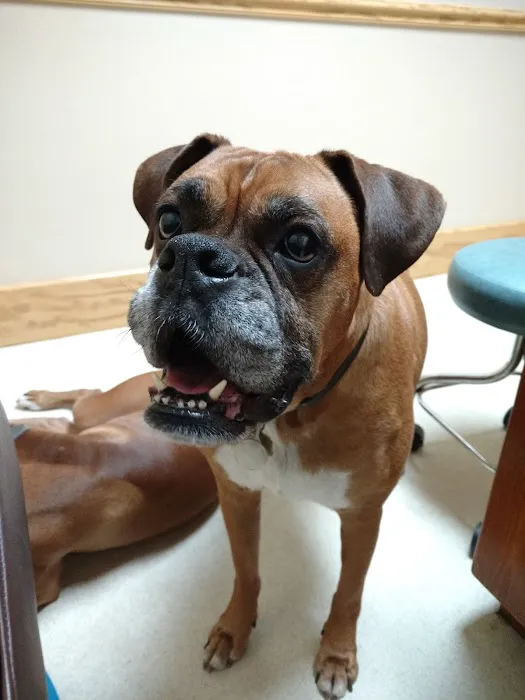 Waccamaw Regional Veterinary Center Picture 5