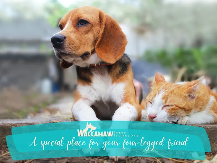 Waccamaw Regional Veterinary Center Picture 10