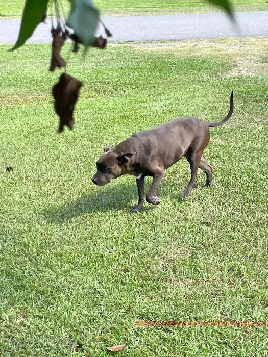 Bladen Animal Hospital Picture 10