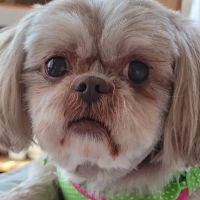 Floyd County Veterinary Clinic ico