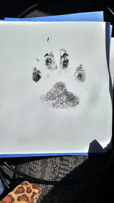 Floyd County Veterinary Clinic Picture 2