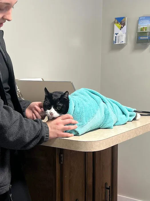 Floyd County Veterinary Clinic Picture 7