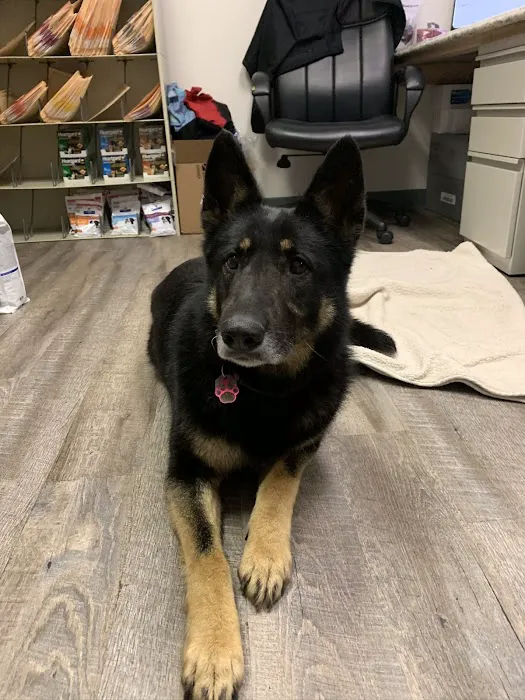 Central Appalachian Veterinary Clinic Picture 7