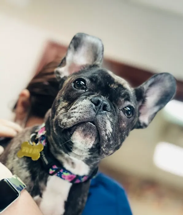 Country Hills Veterinary Hospital Picture 8