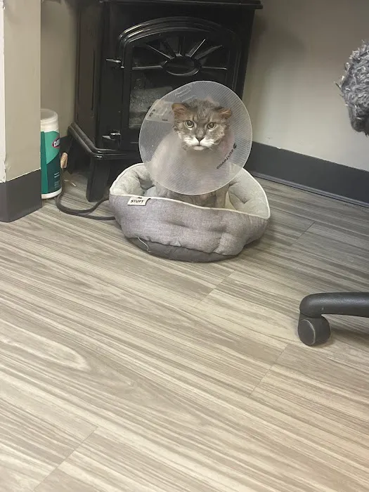 Country Hills Veterinary Hospital Picture 7