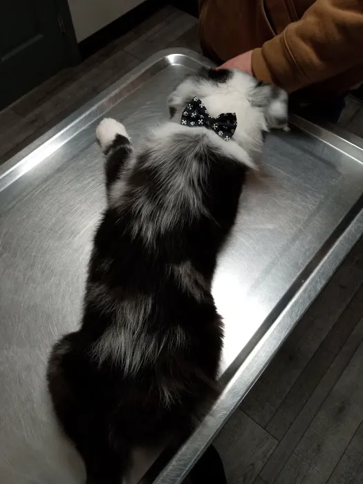 Highland Veterinary Clinic Picture 1