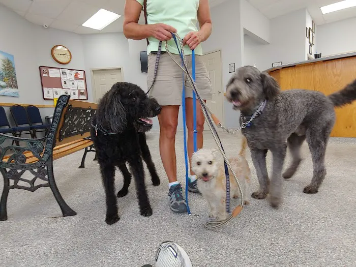 Highway 58 Animal Hospital Picture 2