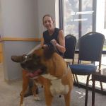 Highway 58 Animal Hospital