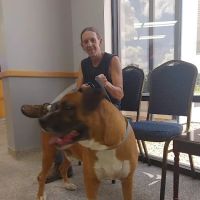 Highway 58 Animal Hospital ico