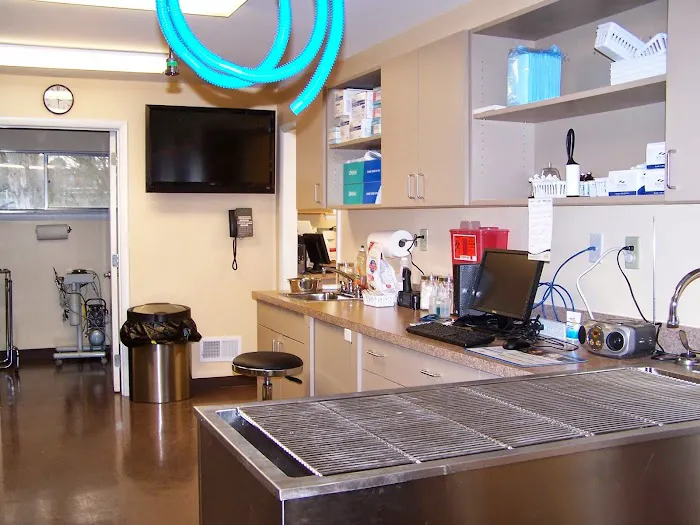 The Animal Care Center Of Ooltewah Picture 1