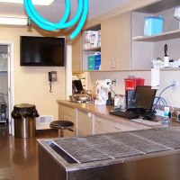The Animal Care Center Of Ooltewah ico