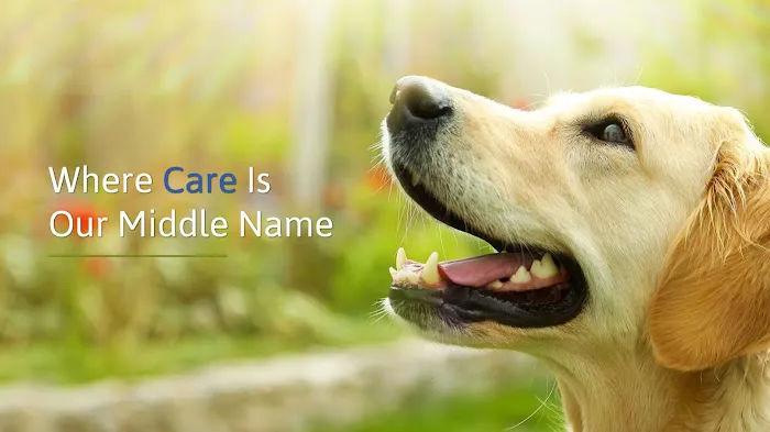The Animal Care Center Of Ooltewah Picture 4
