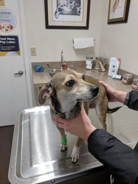 The Animal Care Center Of Ooltewah Picture 6