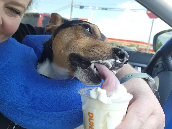 Wellspring Veterinary Care Picture 1