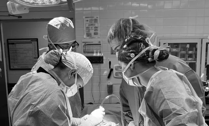 Wellspring Veterinary Care Picture 7