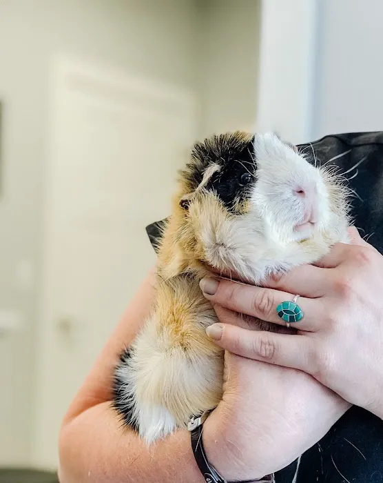 Ooltewah Veterinary Hospital Picture 7