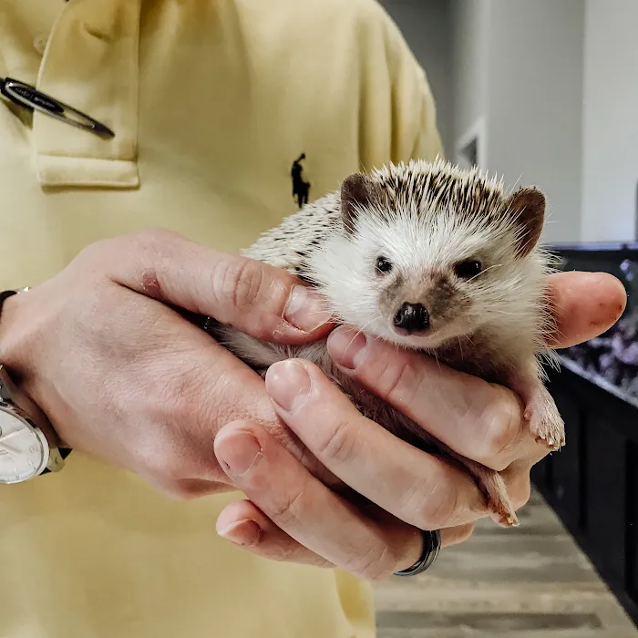 Ooltewah Veterinary Hospital Picture 10
