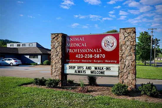 Animal Medical Professionals Picture 6