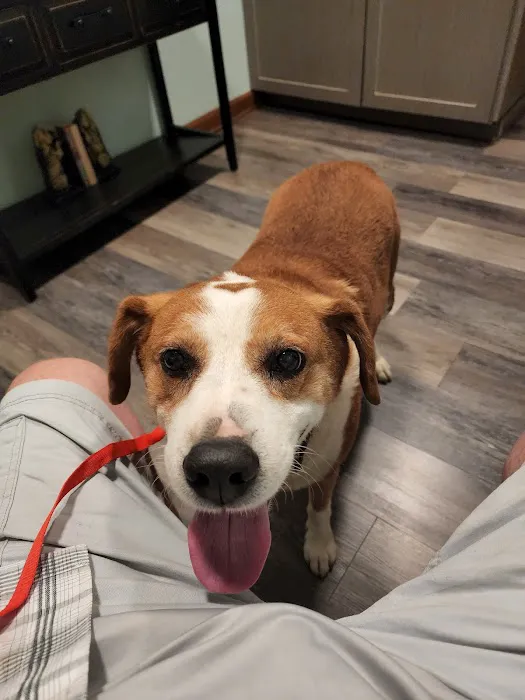 bishop animal hospital Picture 1