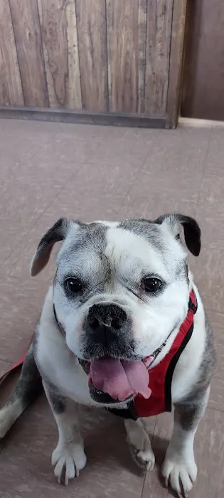Bishop Animal Hospital Picture 6