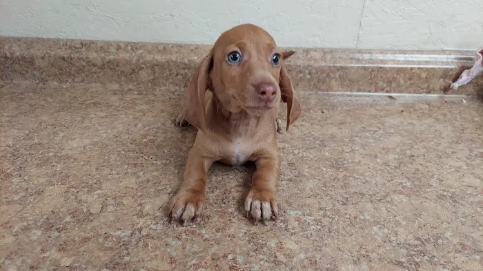 Bishop Animal Hospital Picture 8
