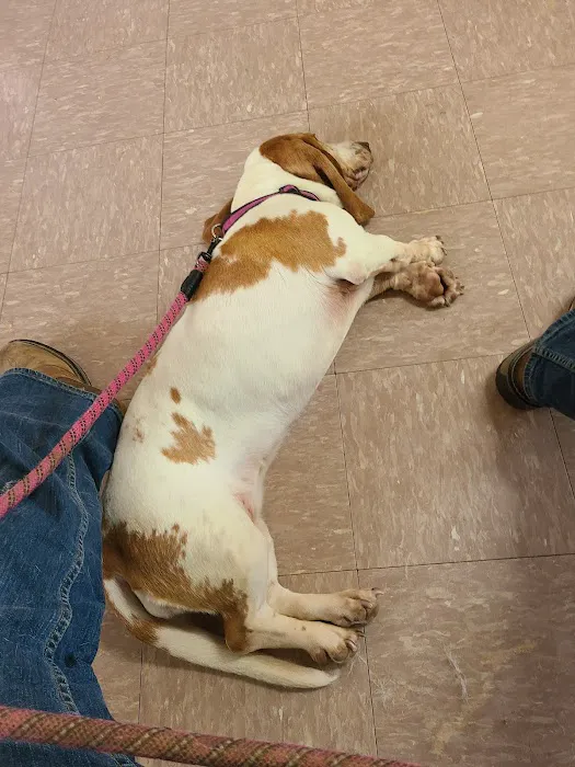 Bishop Animal Hospital Picture 3