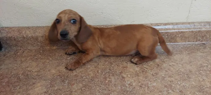Bishop Animal Hospital Picture 5