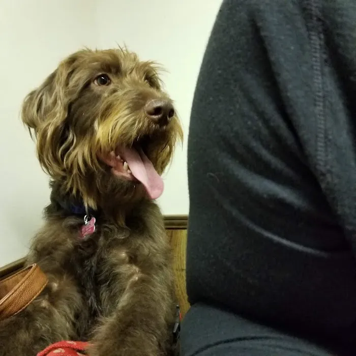 Bishop Animal Hospital Picture 9