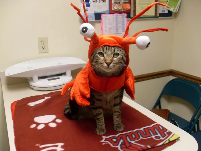 White Oaks West Animal Hospital Picture 9