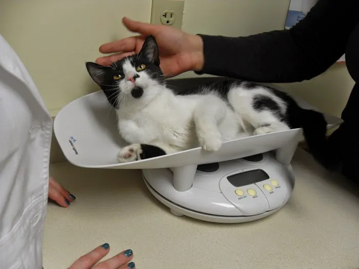White Oaks West Animal Hospital Picture 7