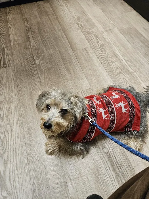 Brewer Animal Hospital Picture 2
