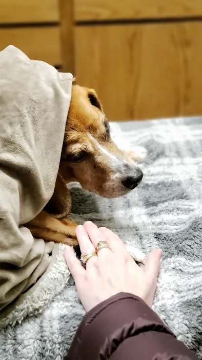 Brewer Animal Hospital Picture 5