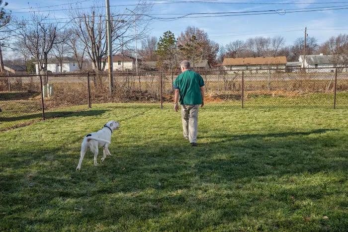 Brewer Animal Hospital Picture 7