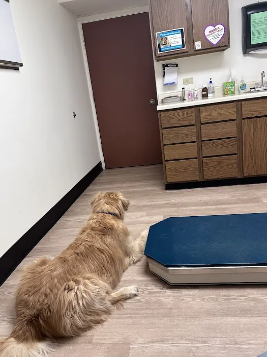 Brewer Animal Hospital: Thornburg Thomas A DVM Picture 1