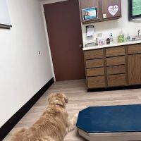 Brewer Animal Hospital: Thornburg Thomas A DVM ico